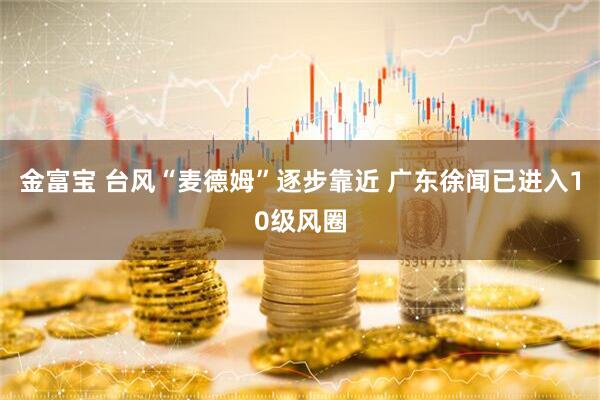 金富宝 台风“麦德姆”逐步靠近 广东徐闻已进入10级风圈